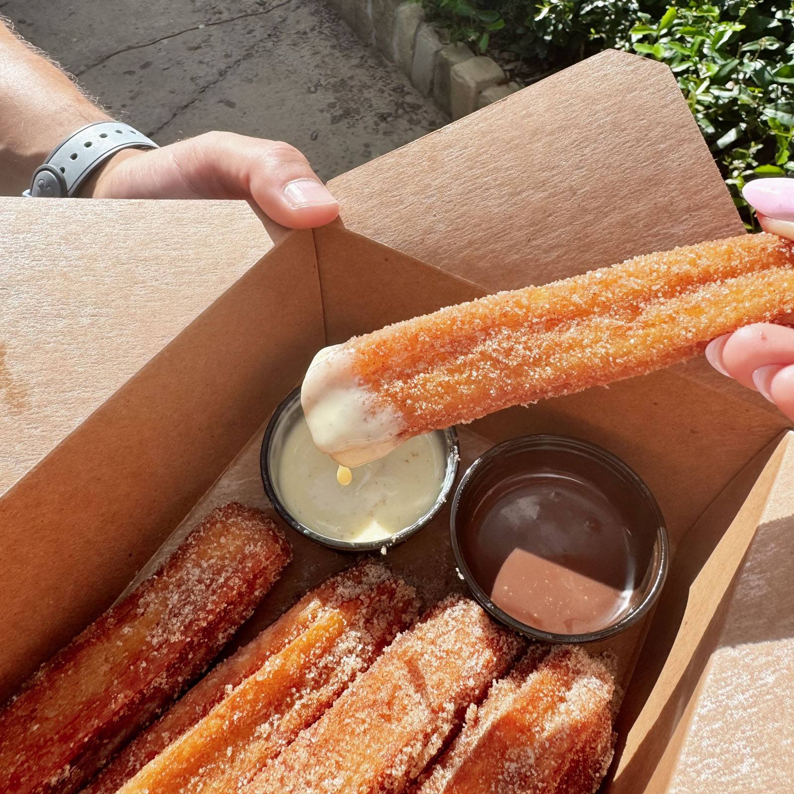 Churros at Animal Kingdom.