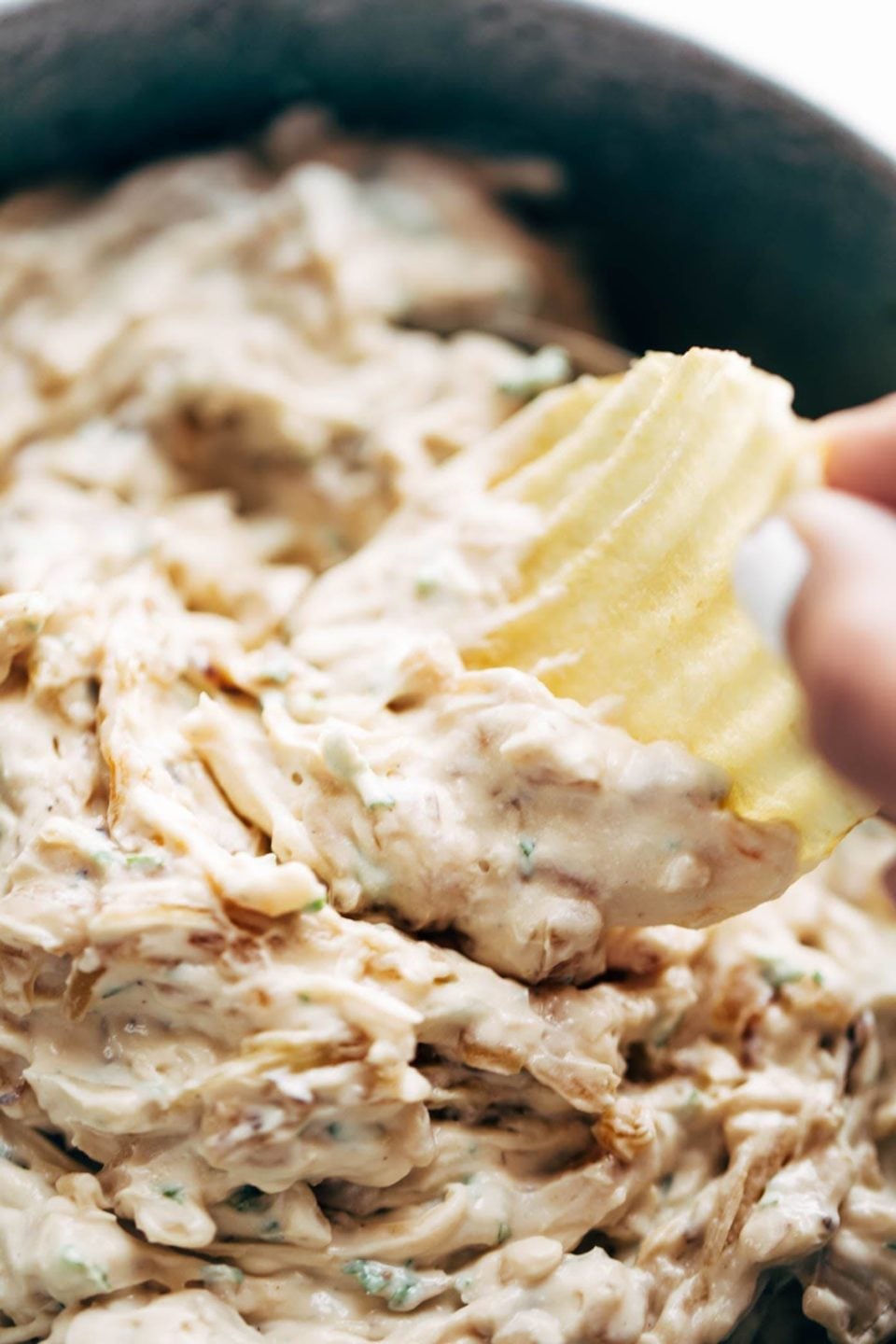 Caramelized Onion Dip Recipe Pinch of Yum