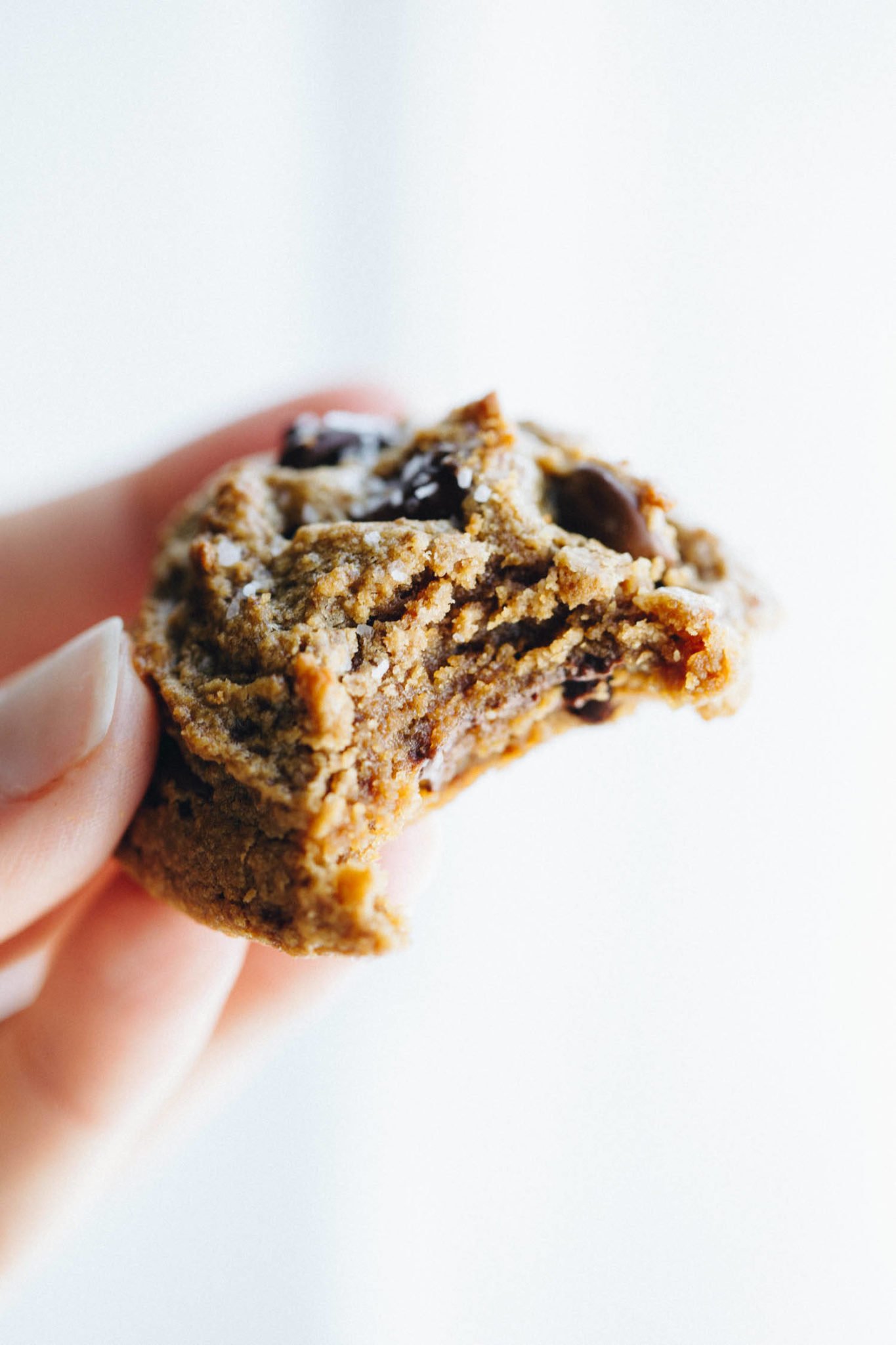 5 Ingredient Peanut Butter Chocolate Chip Cookies Recipe Pinch of Yum