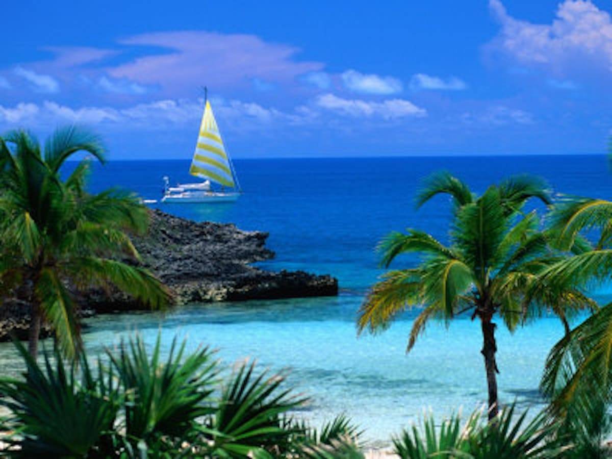 Beautiful ocean view with palm trees and a sailboat.