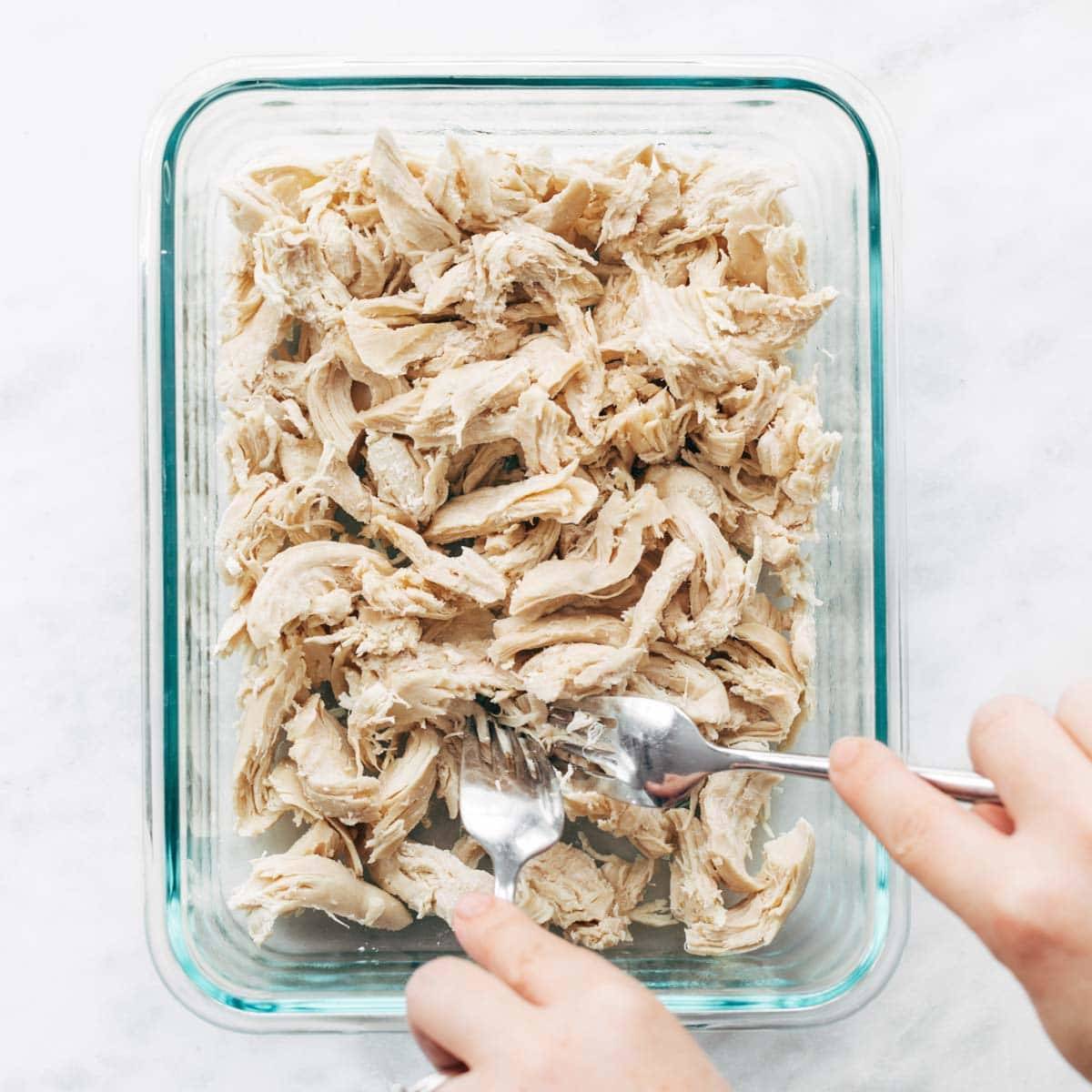 Shredded chicken in a container.