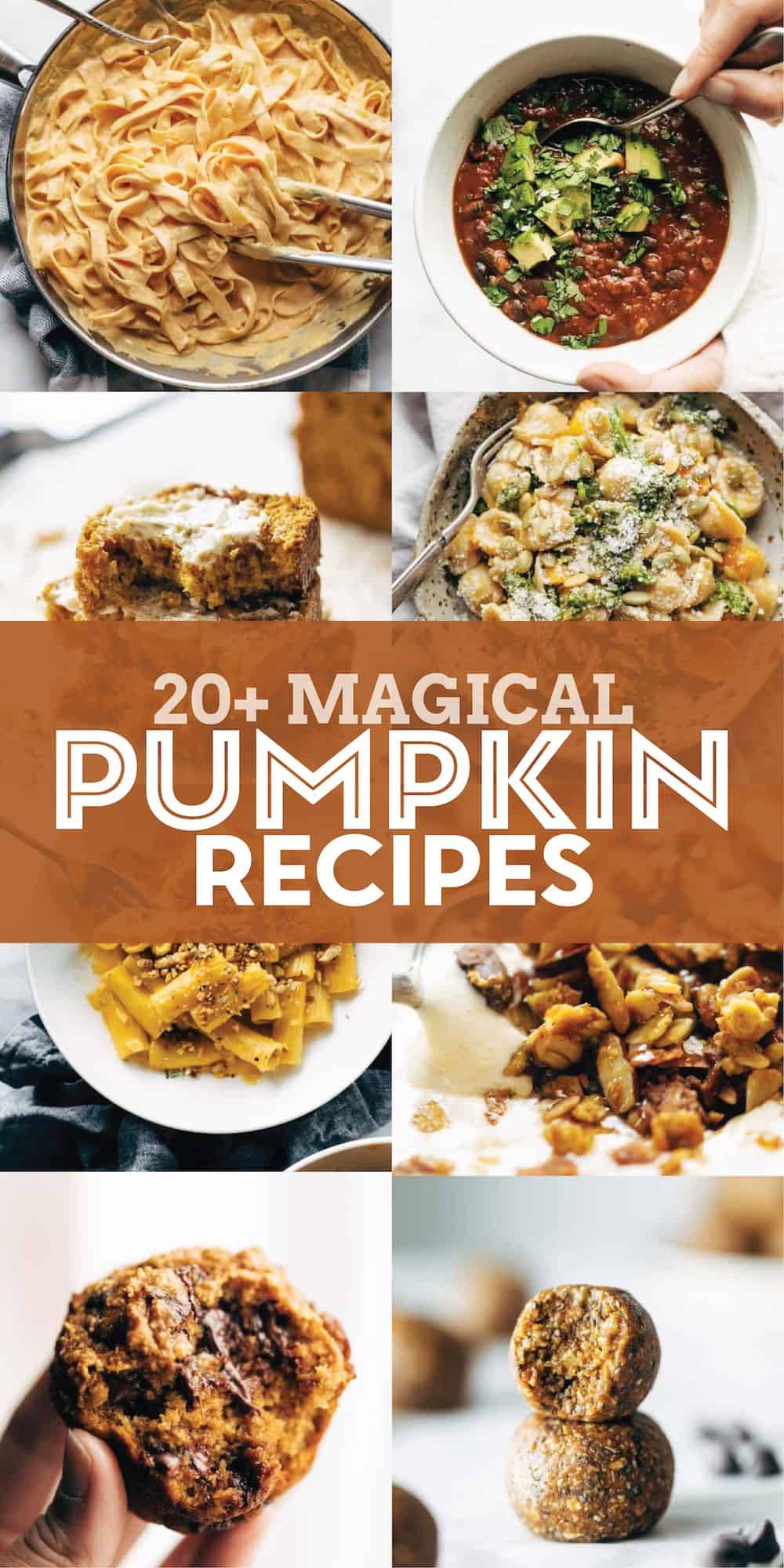 Pumpkin Recipes - Pinch of Yum