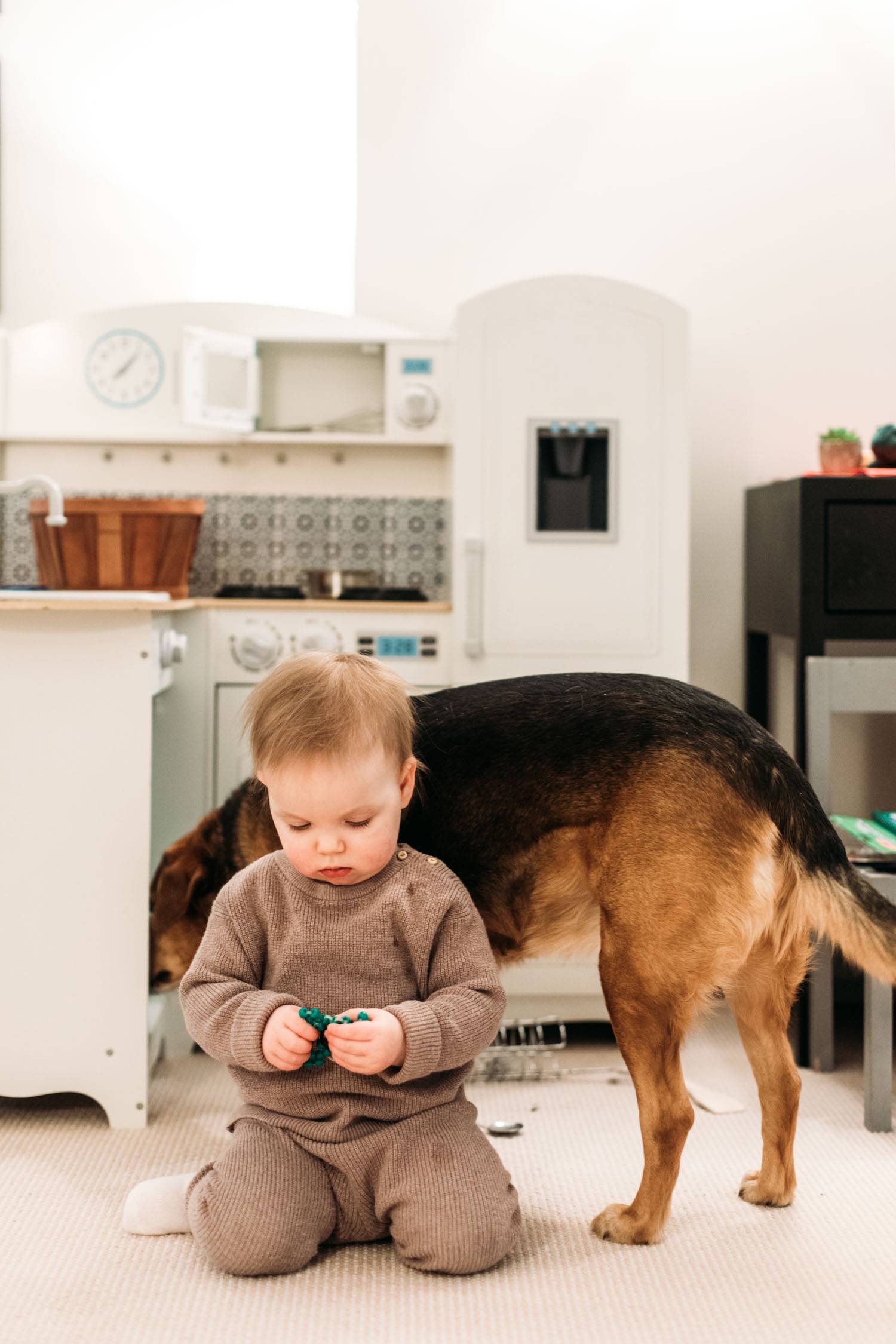 Toddler with dog