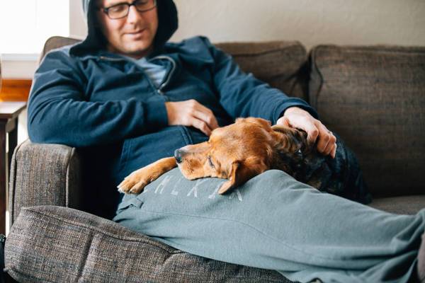 Dog sleeping on a man's lap.