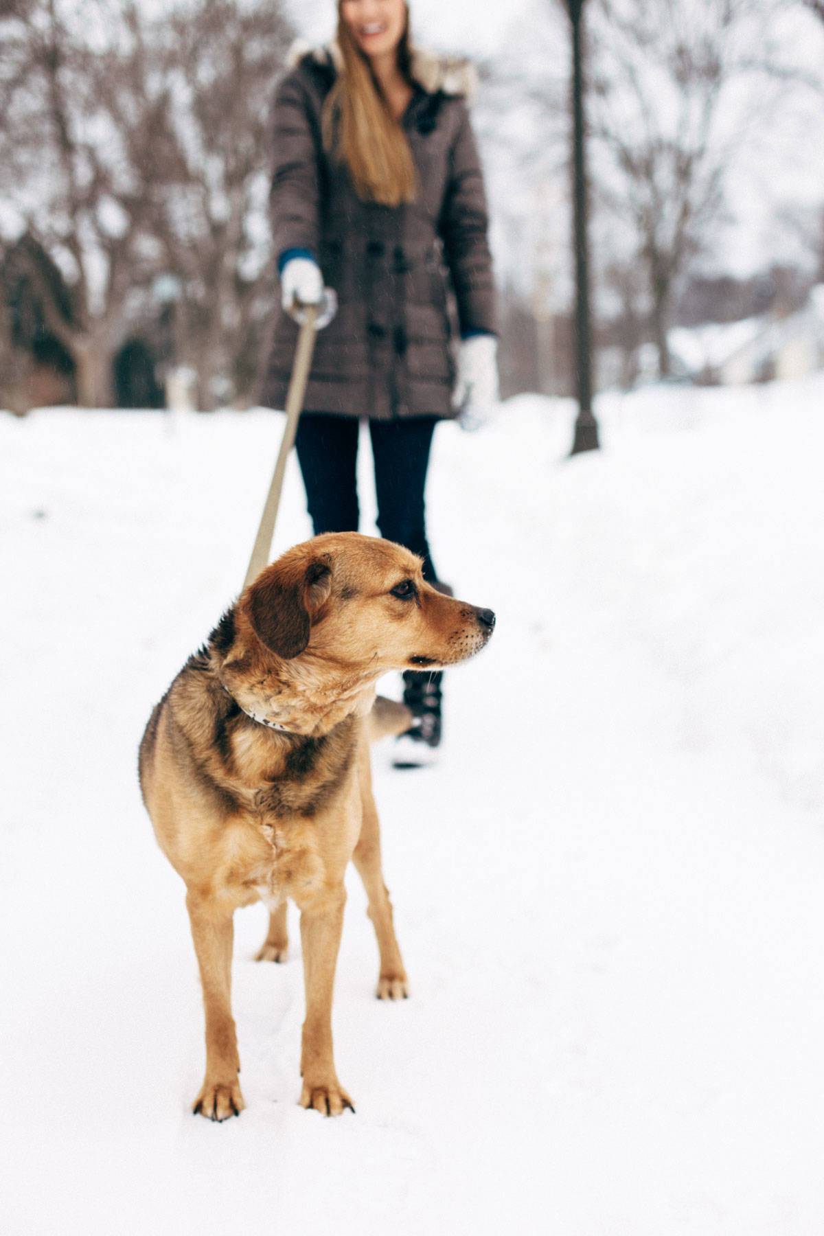 Woman with dog on leash in the snow.