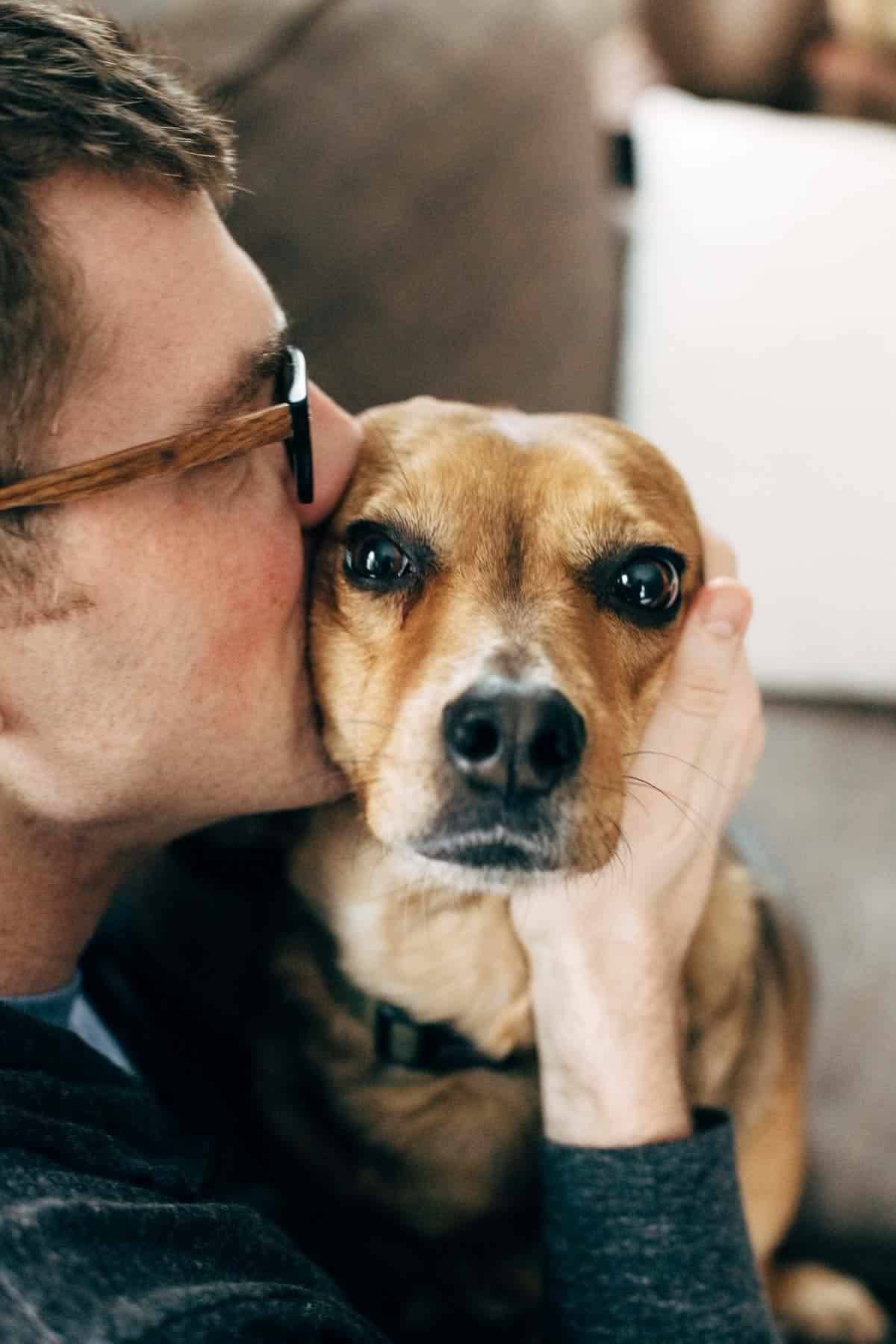 Man wearing glasses kissing a dog.
