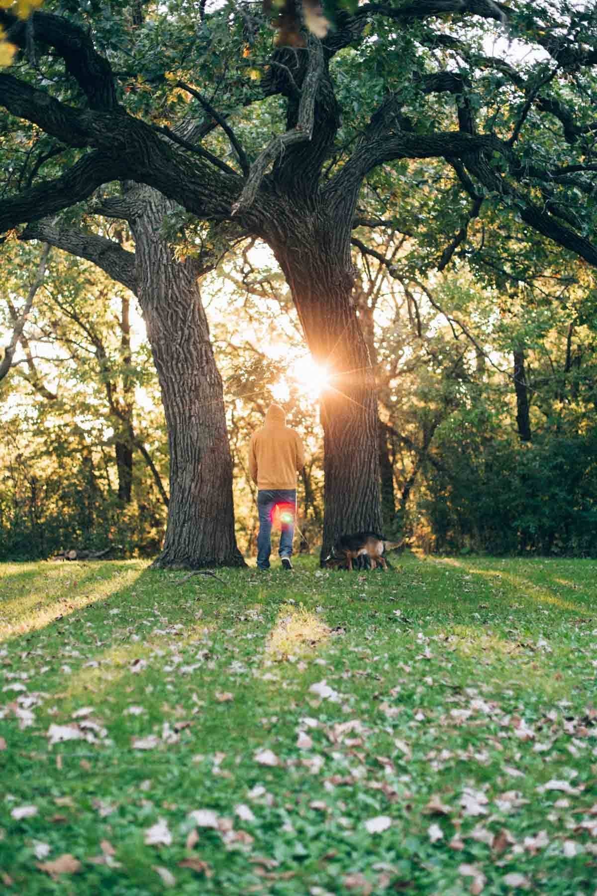 man and dog standing in-between two trees 