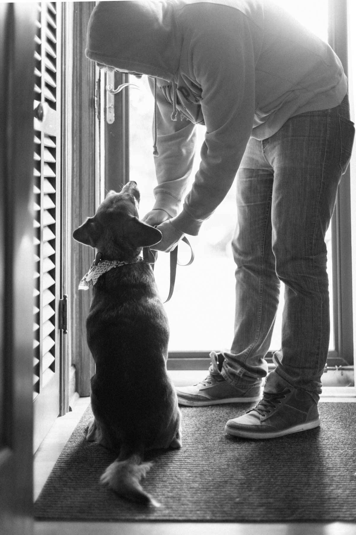dog and man standing in a doorway