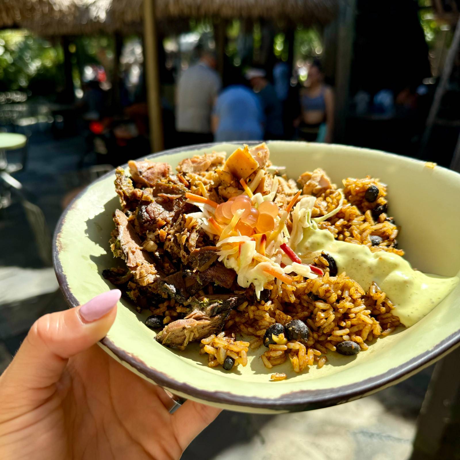 Beef and chicken bowl at Satu'li Canteen in Pandora at Animal Kingdom.