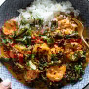 Shrimp curry in a bowl with rice.