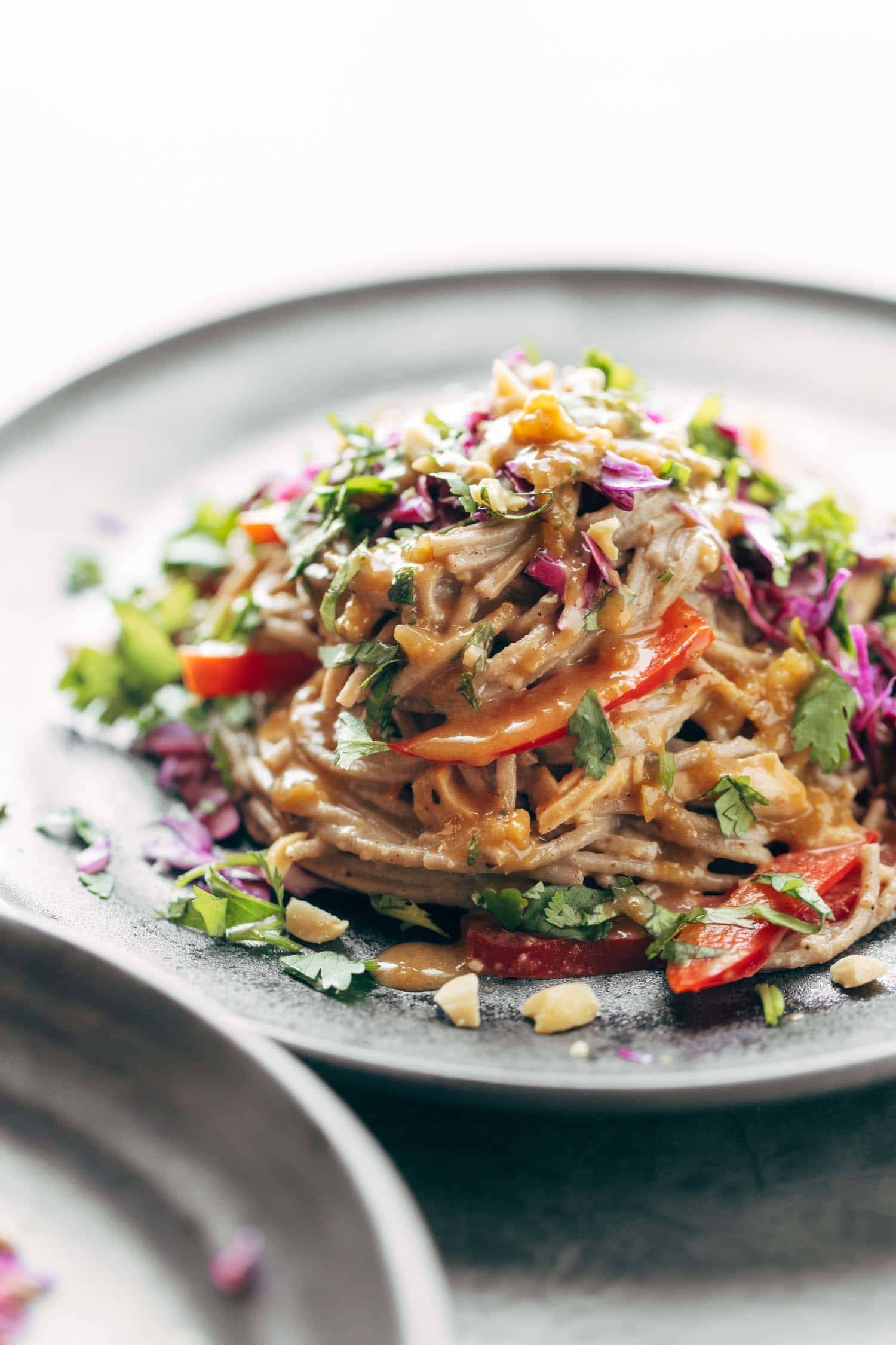 Spicy Peanut Soba Noodle Salad Recipe - Pinch of Yum