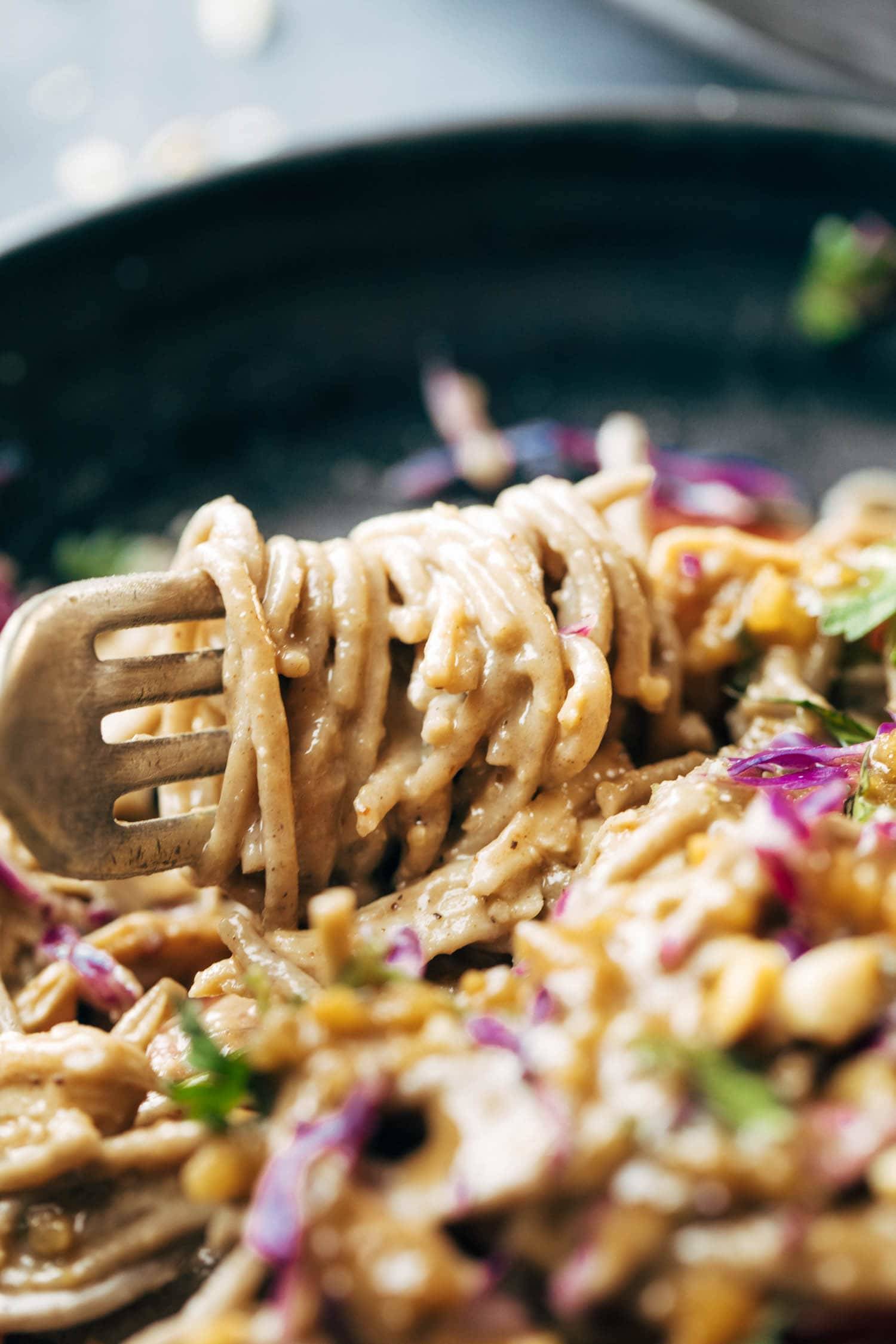 Sesame Peanut Soba Noodle Salad