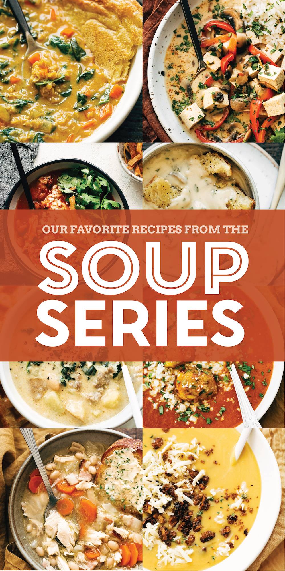 The Soup Series Recipes - Pinch of Yum