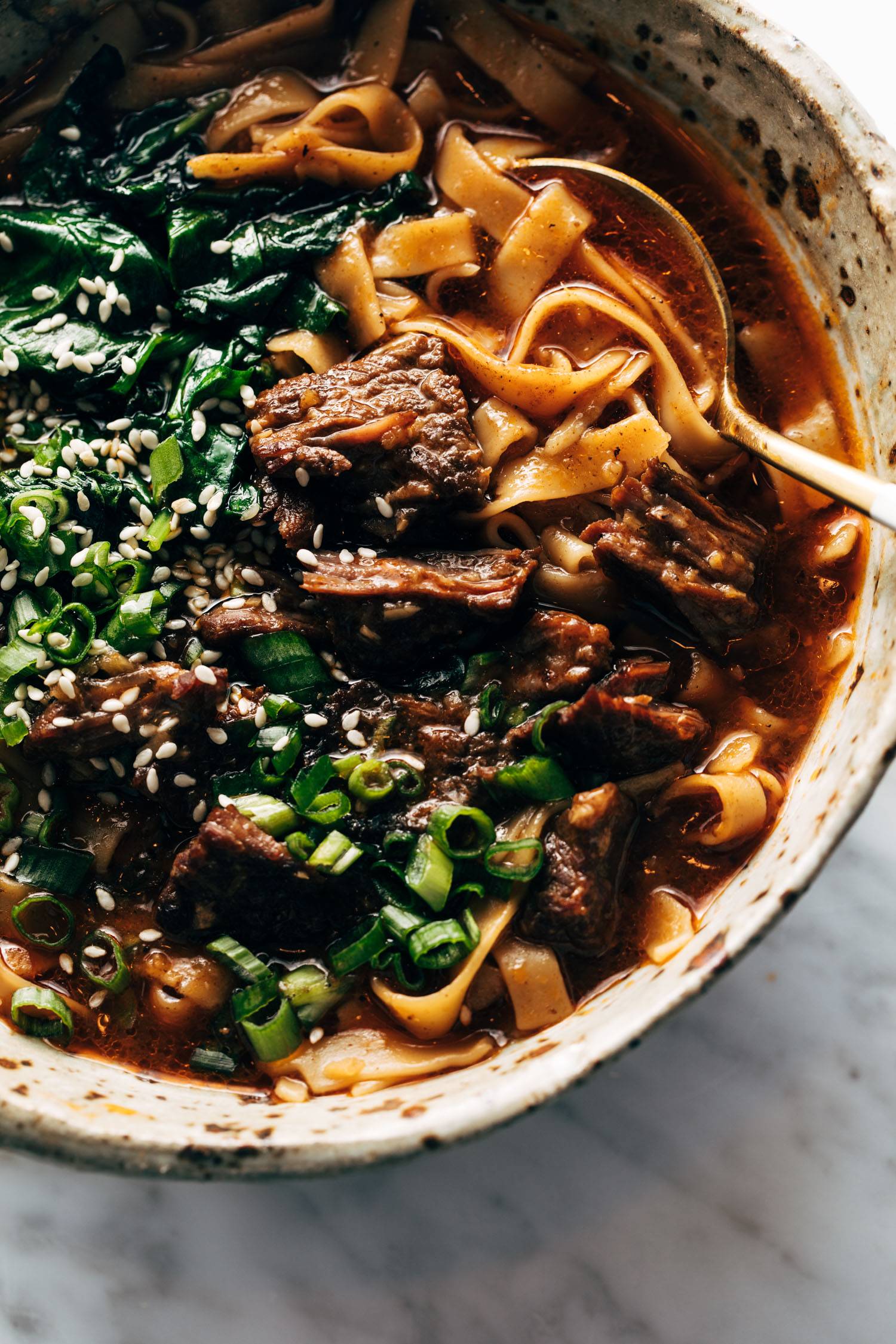 Short Rib Noodles in Bowl with Spoon