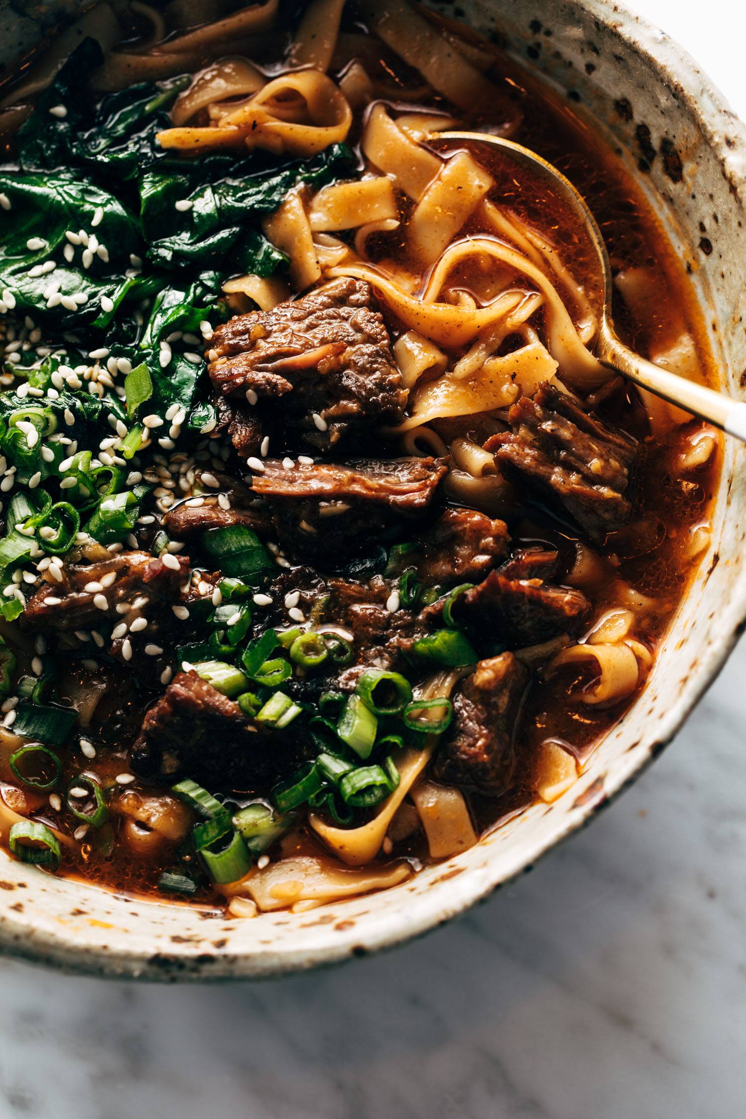 Short rib noodle soup in a bowl with a spoon