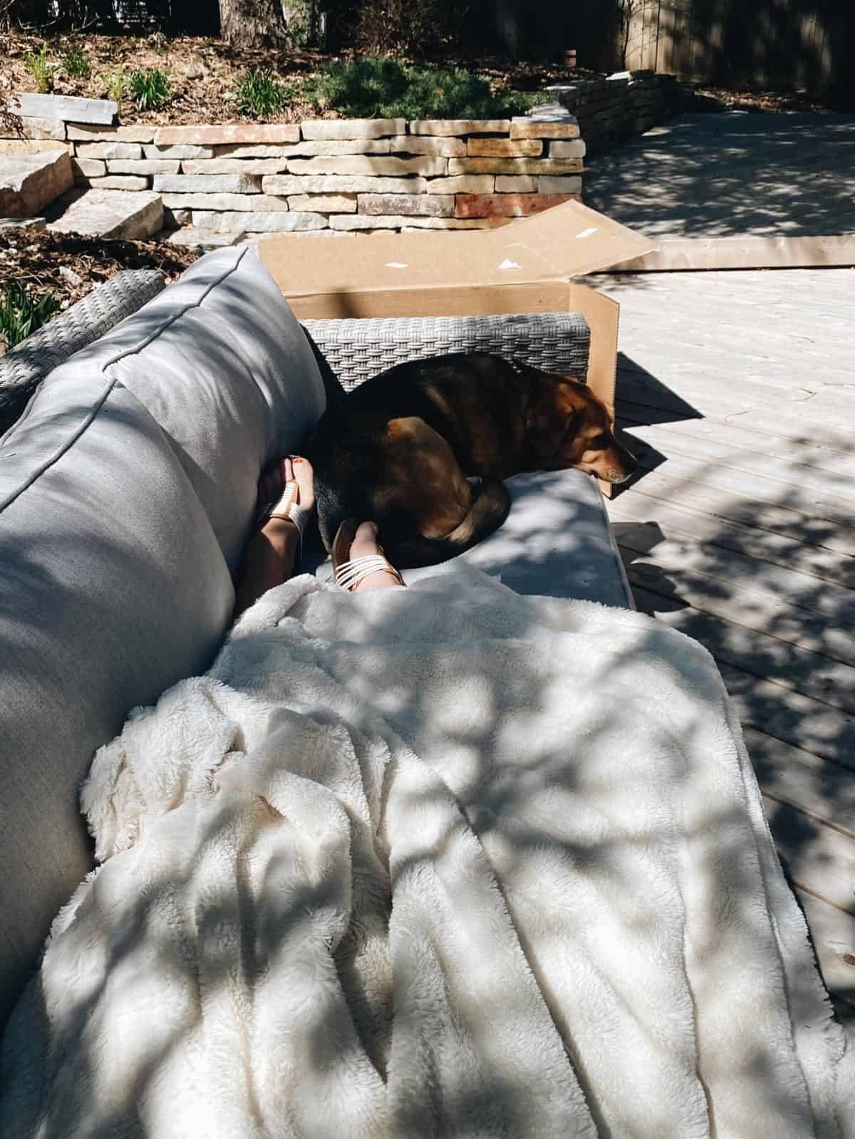 A person taking a photo of their legs in a blanket and a dog curled up at their feet on a couch.