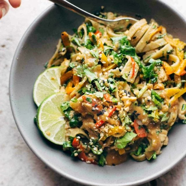 Meat and Chicken Recipes - Pinch of Yum