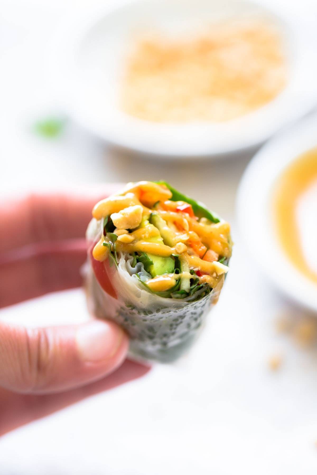 Thai Summer Roll with Peanut Sauce.