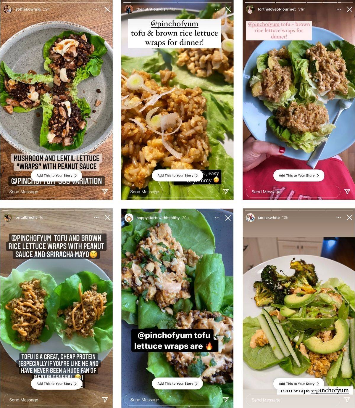 Reader images from the Tofu and Brown Rice Lettuce Wraps with Peanut Sauce recipe.