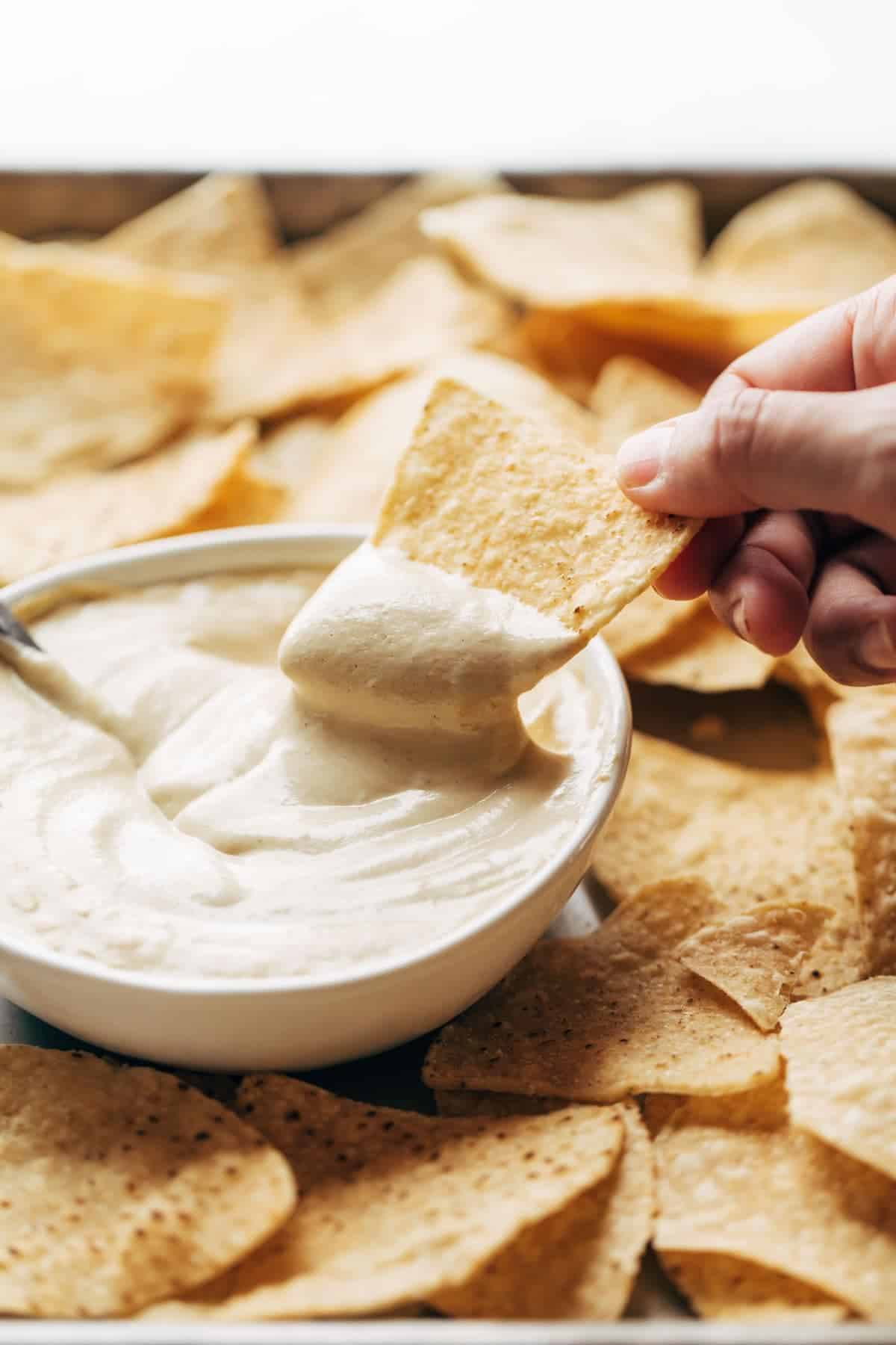 Chip dipped into vegan queso.