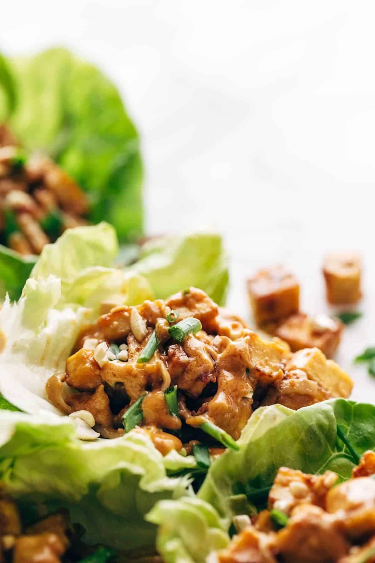 Closeup of Vegan Lettuce Wrap.