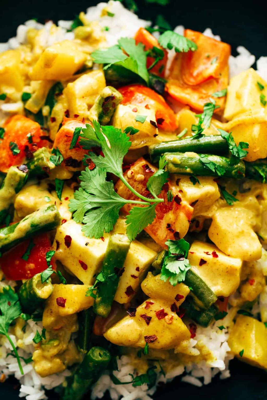 Cozy Veggie Korma Recipe Pinch of Yum