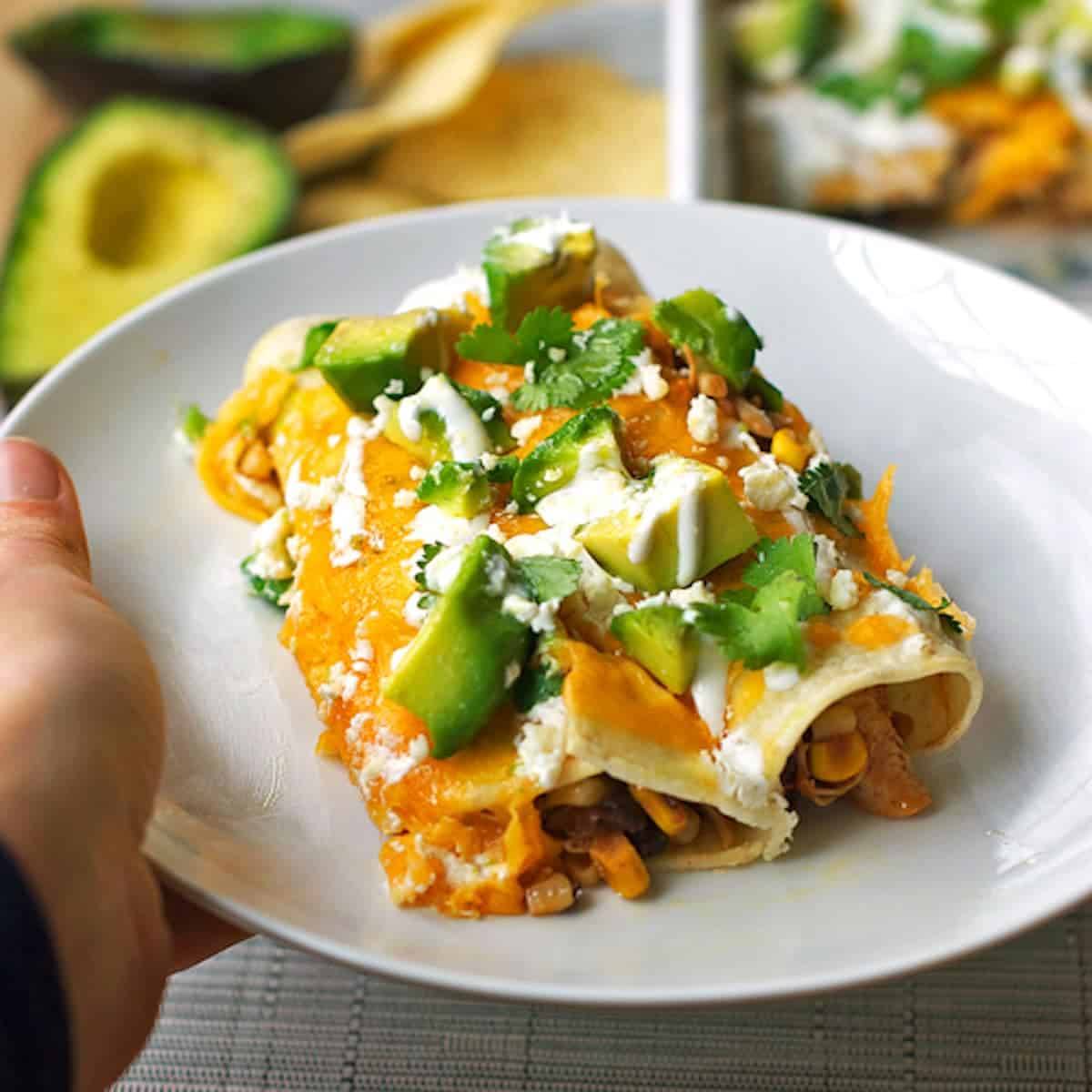 Chicken enchiladas with avocado and dressing on a white plate.
