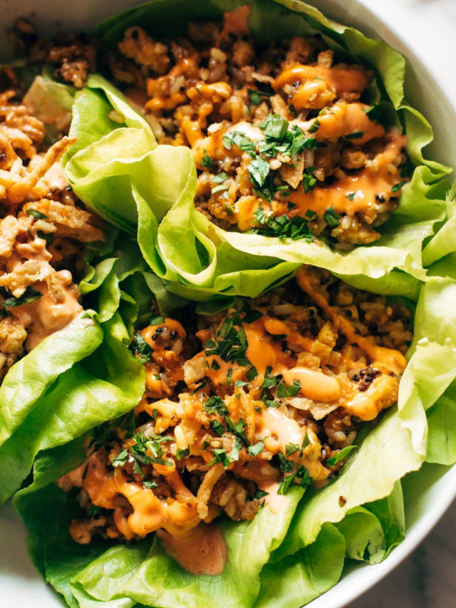 https://pinchofyum.com/wp-content/uploads/cropped-Tofu-and-Brown-Rice-Lettuce-Wraps-Square.png