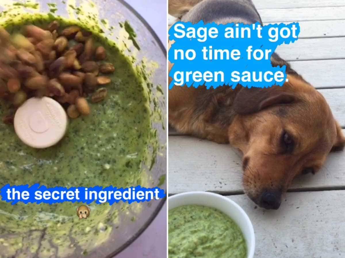 5 Minute Magic Green Sauce Recipe - Pinch of Yum